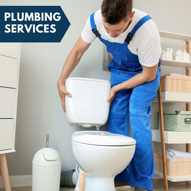 Plumbing Company in Hardwick, MN